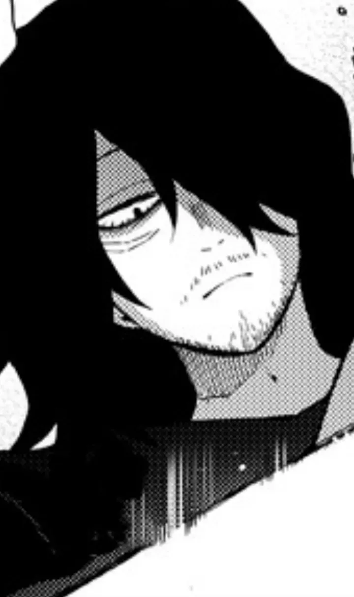 Avatar of Shota aizawa