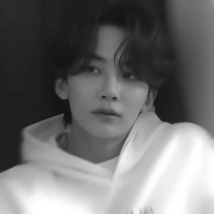 Avatar of (❀) Jeonghan ⊰⁠⊹ฺ
