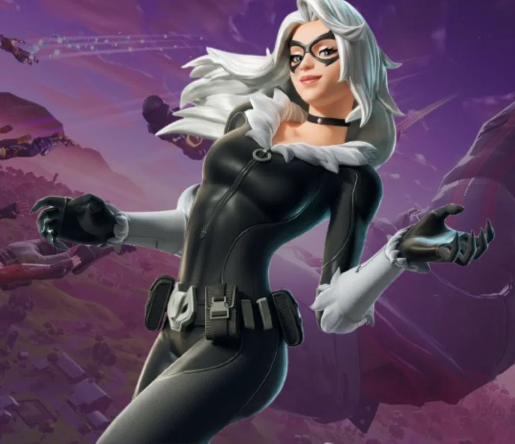 Avatar of The Black Cat [Fortnite :3]