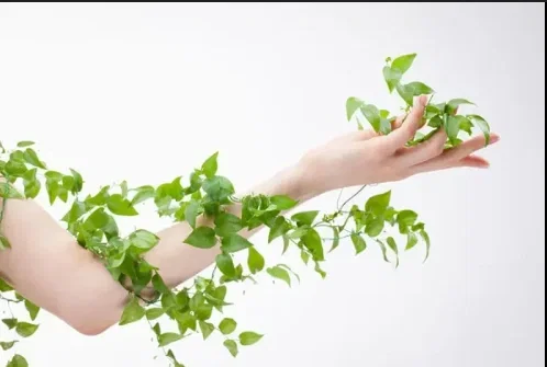 Avatar of 🌿 Force Feeding Plants 🌿 