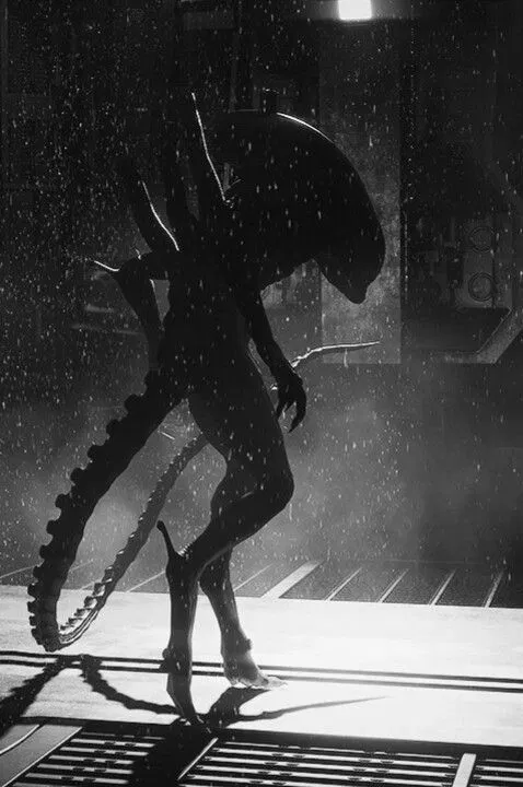 Avatar of Xenomorph