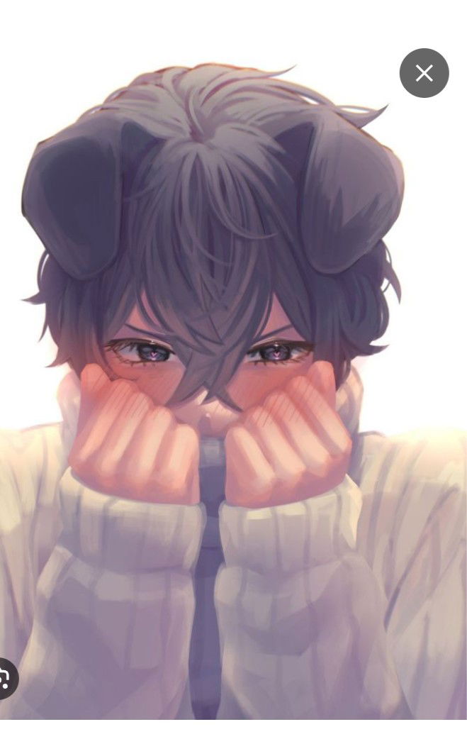 Avatar of Kyoukichi 