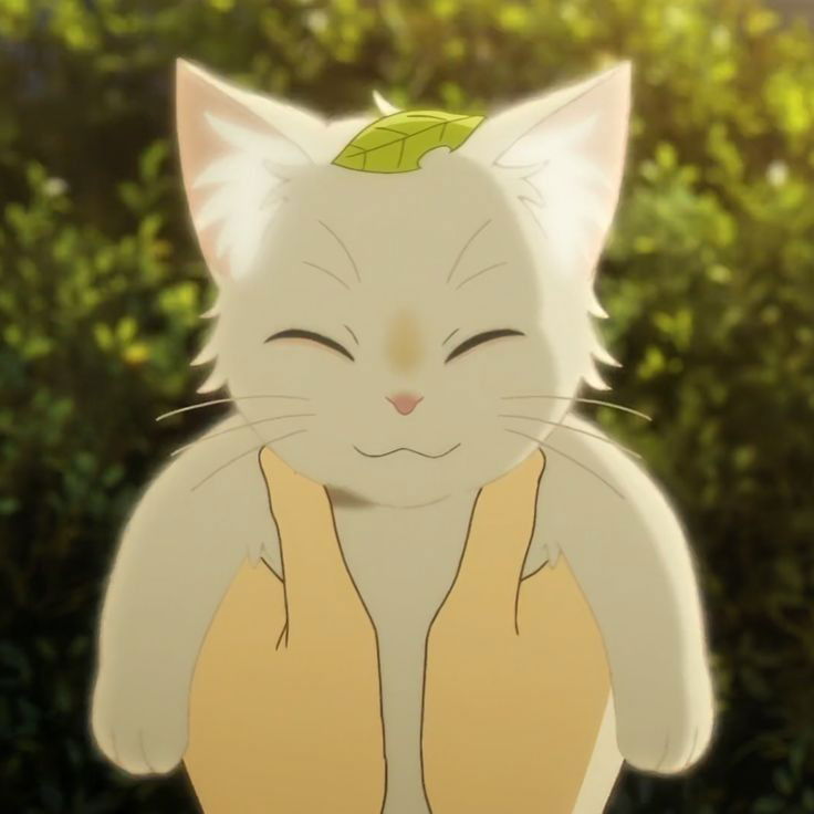 Avatar of A whisker away