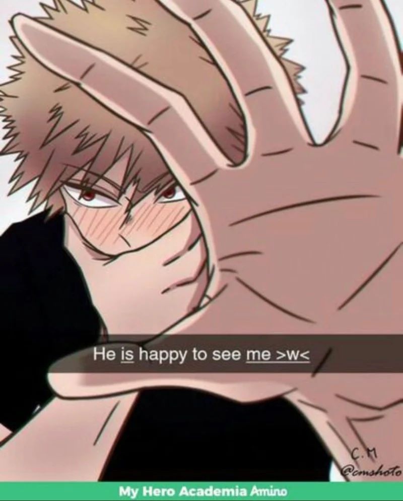 Avatar of Bakugou