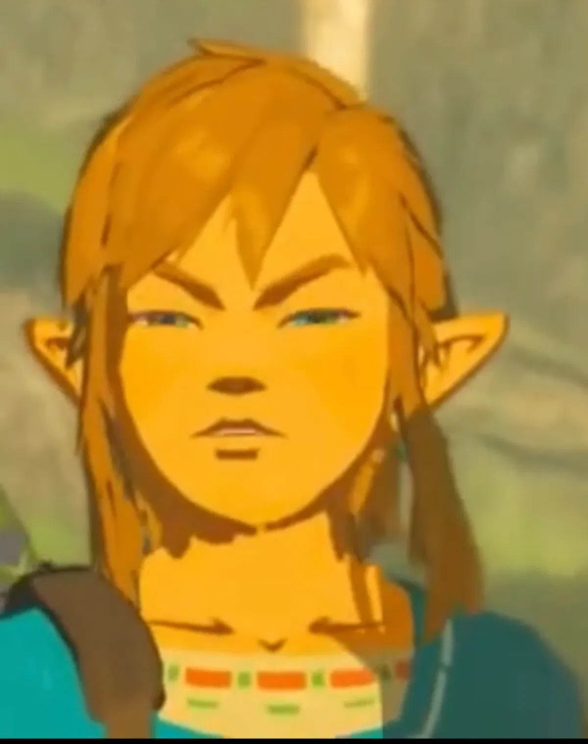Avatar of Link (BOTW/TOTK)