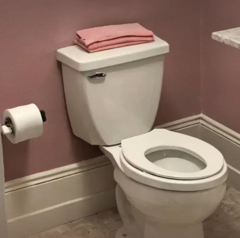 Avatar of Sorority Girls Toilet