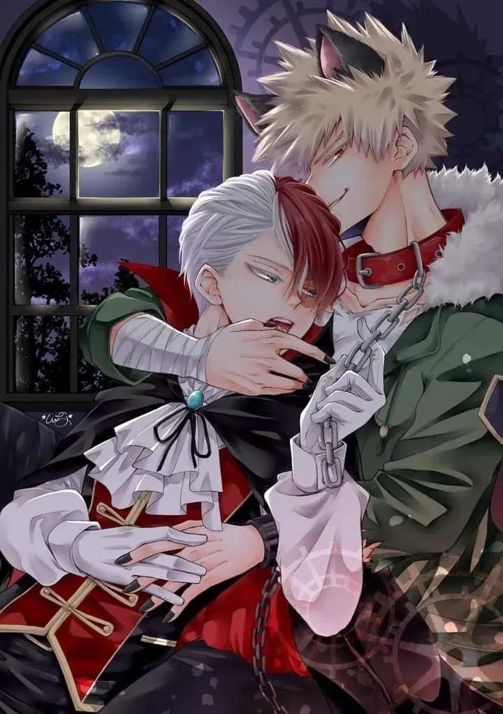 Avatar of Katsuki Bakugo and Todoroki Shoto