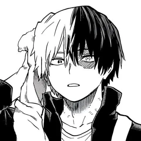 Avatar of Shoto Todoroki
