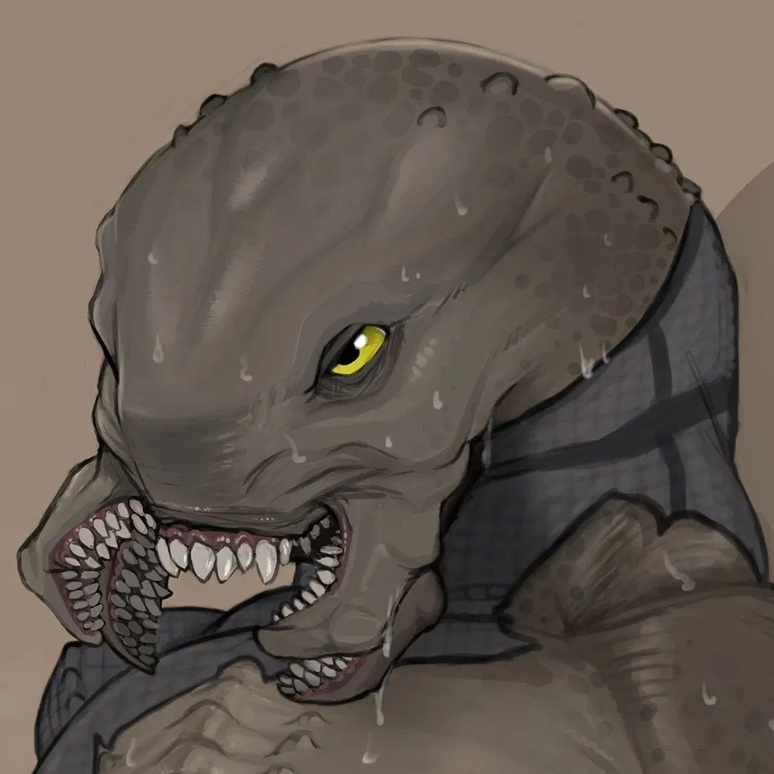 Avatar of Lazo