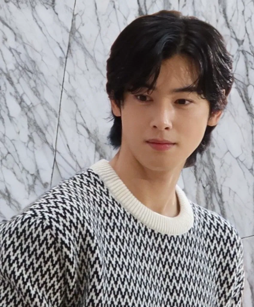 Avatar of Cha Eunwoo | When The Popular Kid Falls in Love First