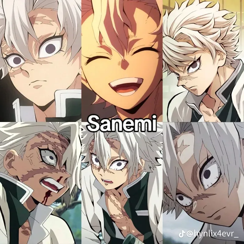 Avatar of Sanemi 