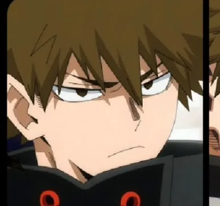 Avatar of Bakugo Family