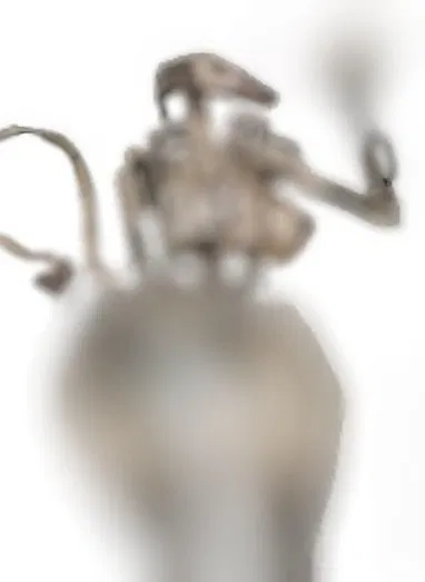 Avatar of Nora the Fuck droid