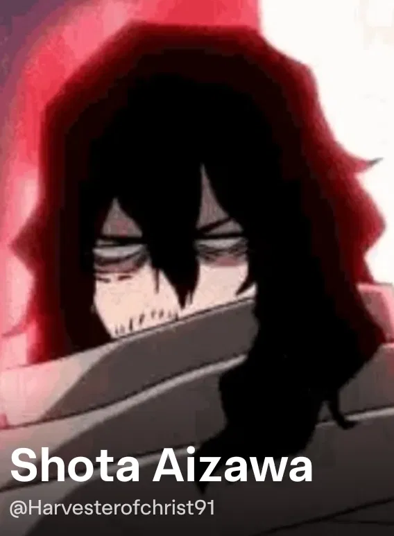 Avatar of Shōta Aizawa