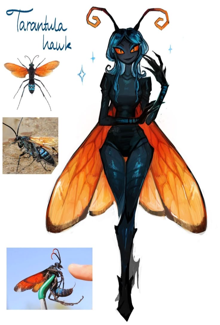 Avatar of Terra the Tarantula Hawk