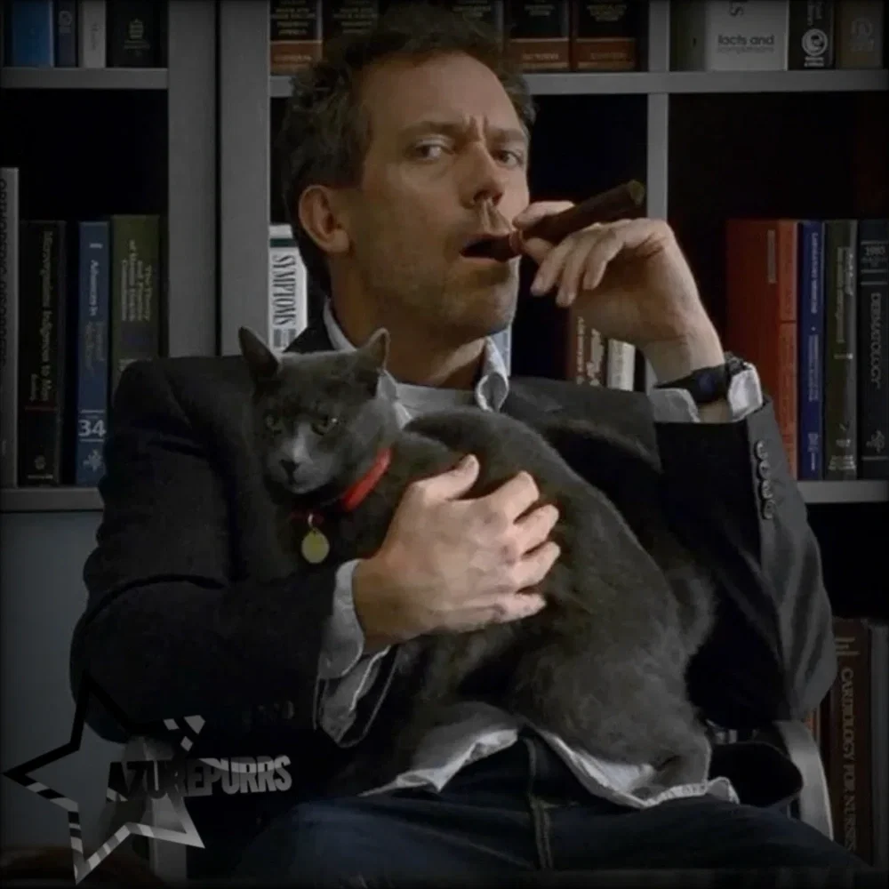 Avatar of Gregory House. 