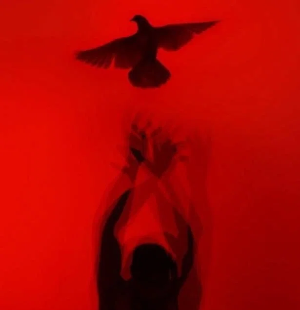 Avatar of Dave Strider | A HOUSE IN NEBRASKA