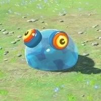 Avatar of Pet Slime