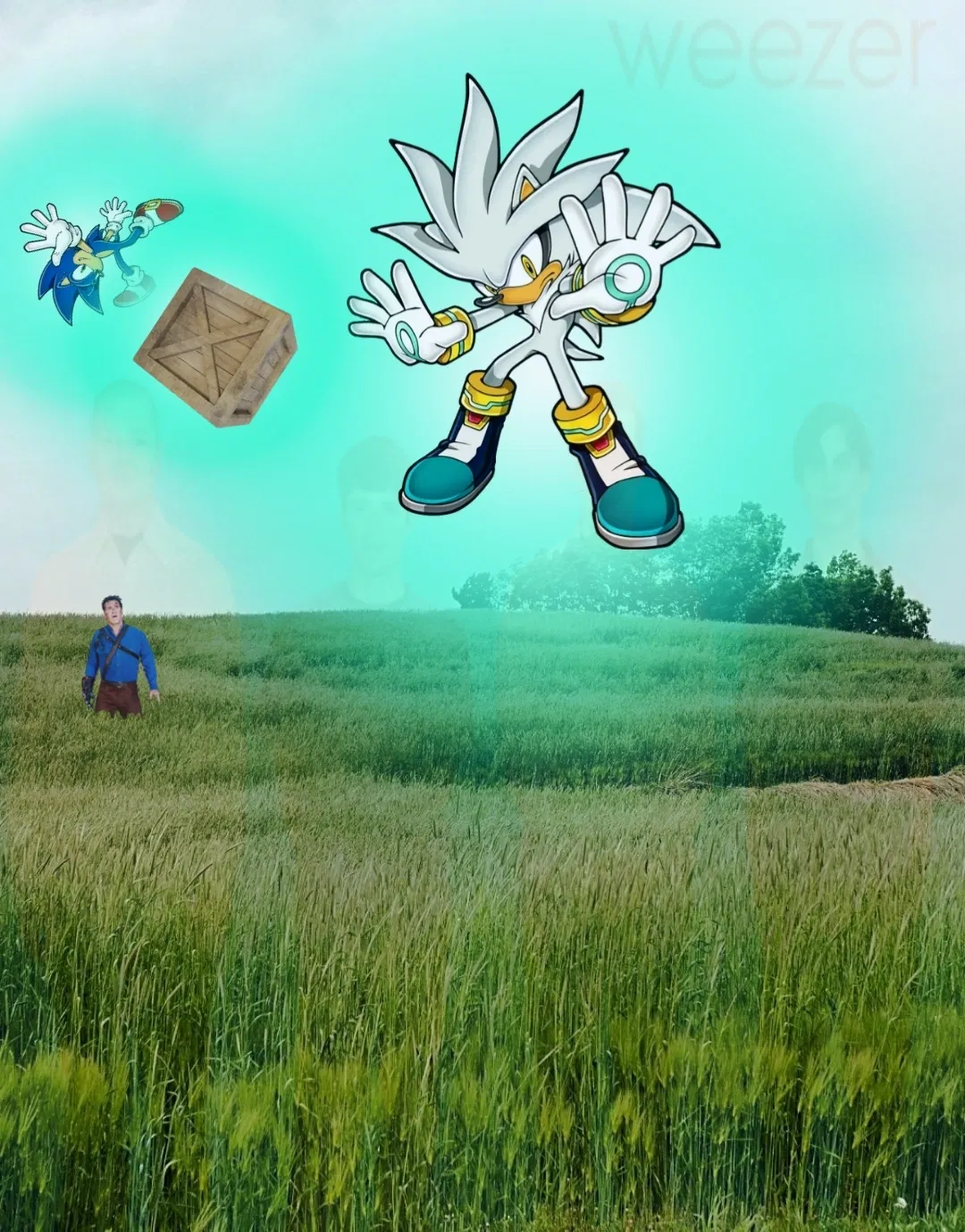Avatar of Vs. SILVER THE HEDGEHOG