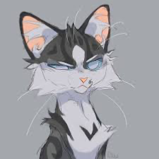 Avatar of ᯓ★ jayfeather | Warrior Cats