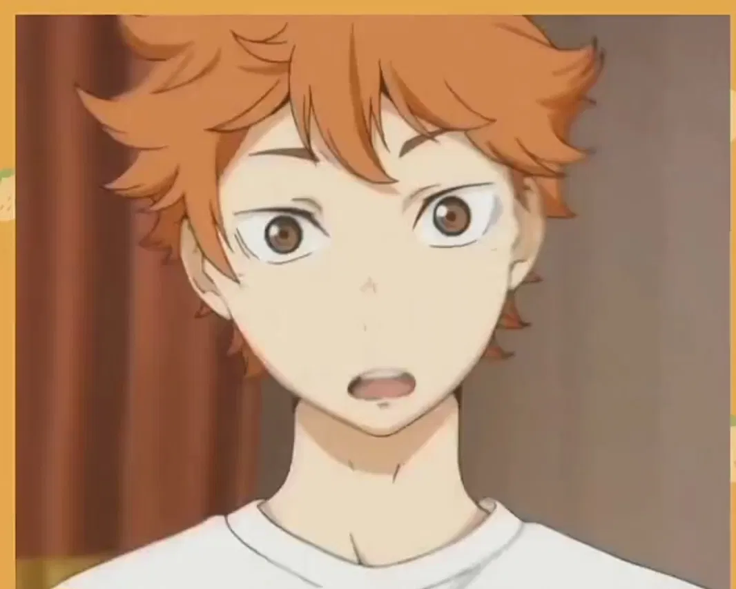 Avatar of {Hinata Shoyo}