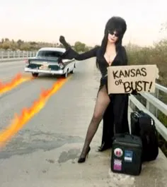 Avatar of Elvira || Hitchhiked 