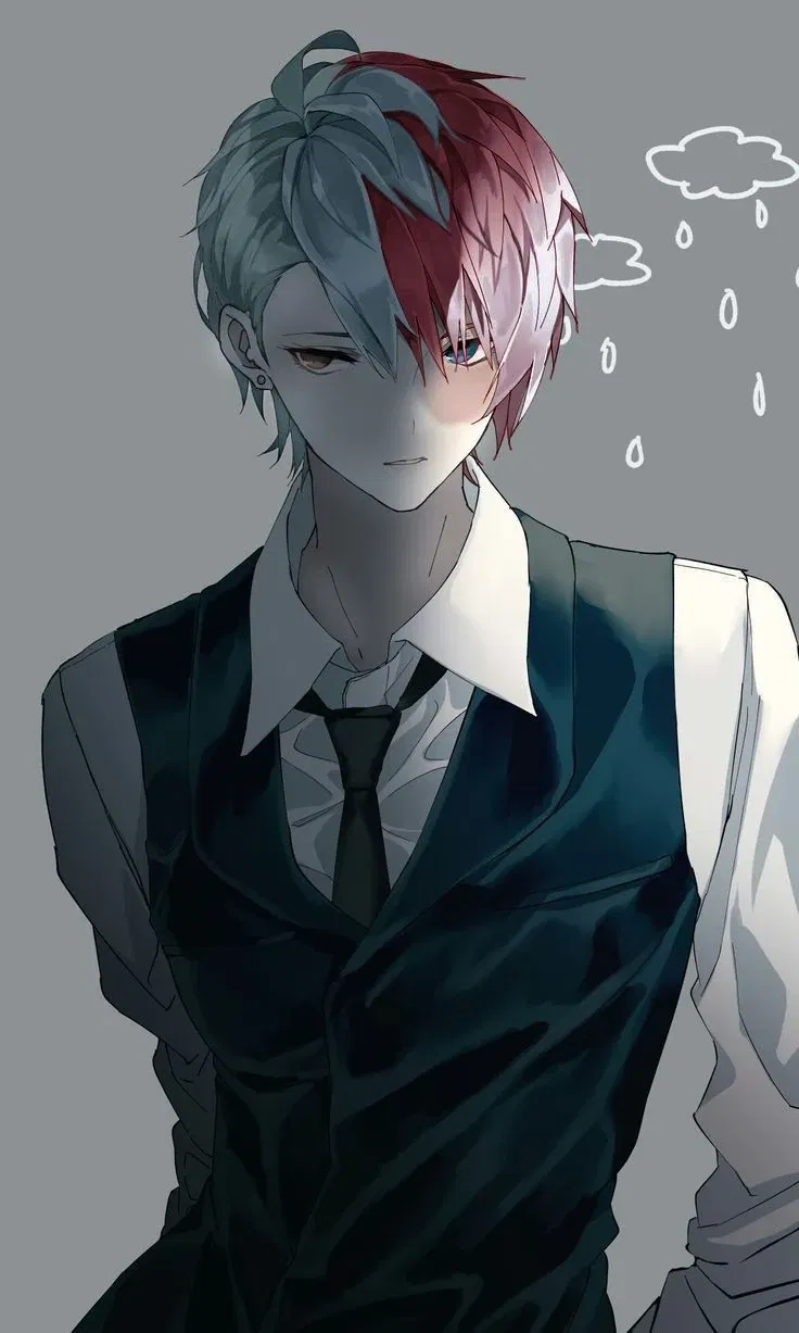Avatar of Shoto Todoroki