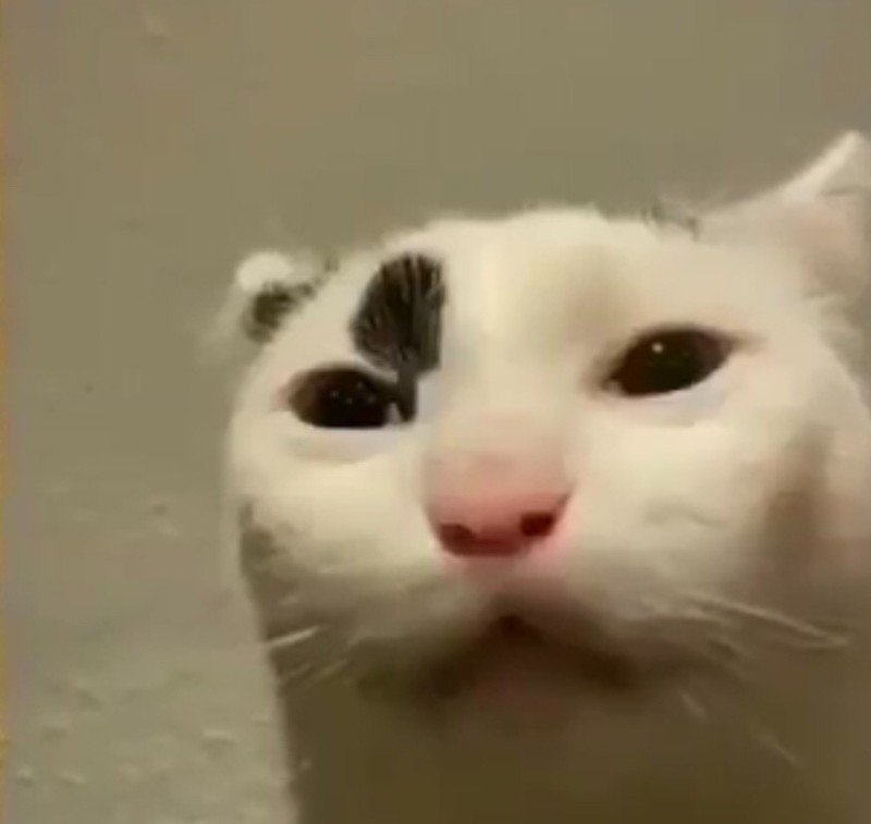 Avatar of Rubber