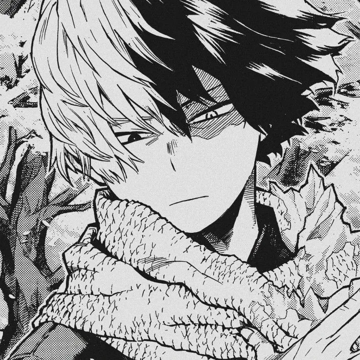 Avatar of Shoto Todoroki