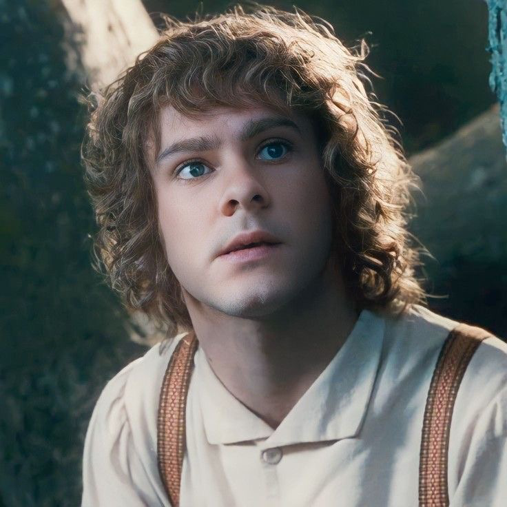 Avatar of Merry Brandybuck 