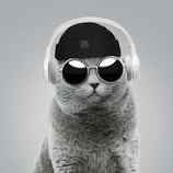Avatar of C00l_Cat14