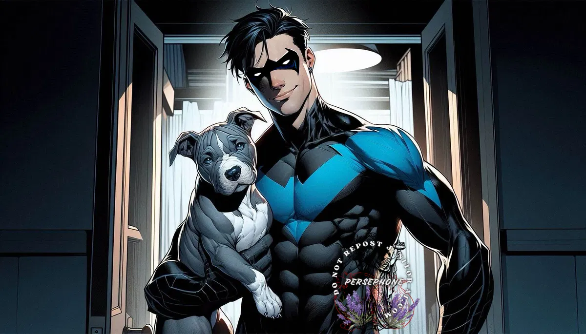 Avatar of Dick Grayson || Nightwing 