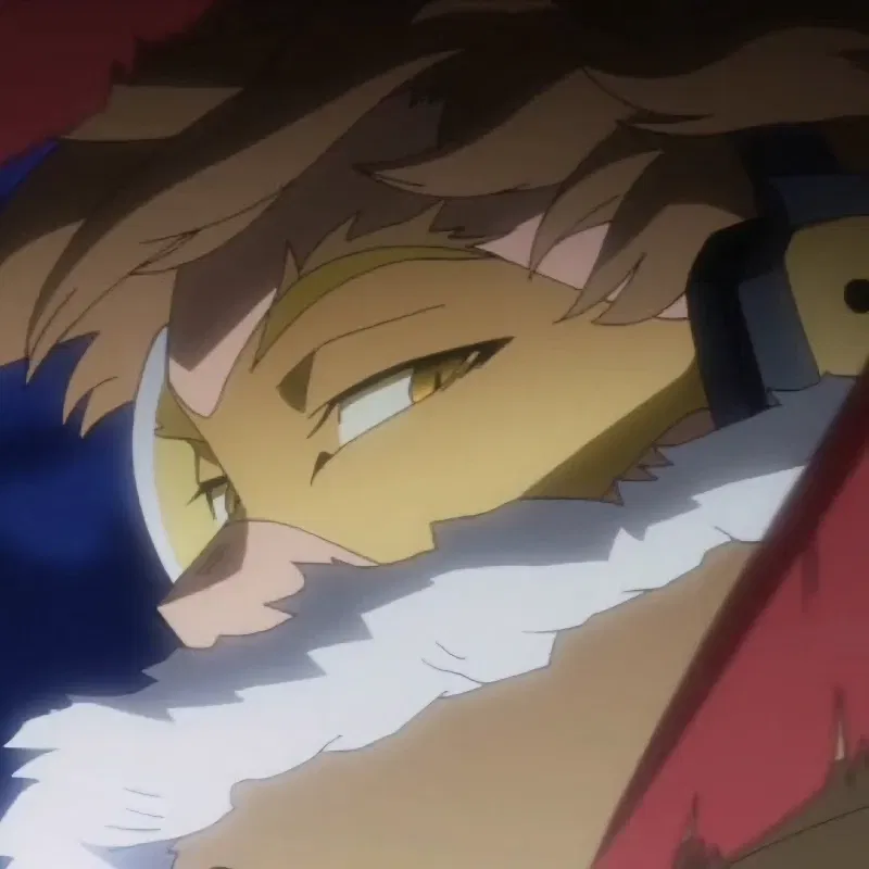 Avatar of MHA - Hawks