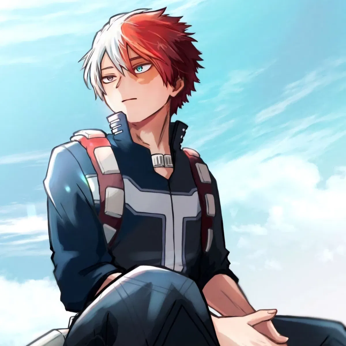 Avatar of MHA - Shoto Todoroki