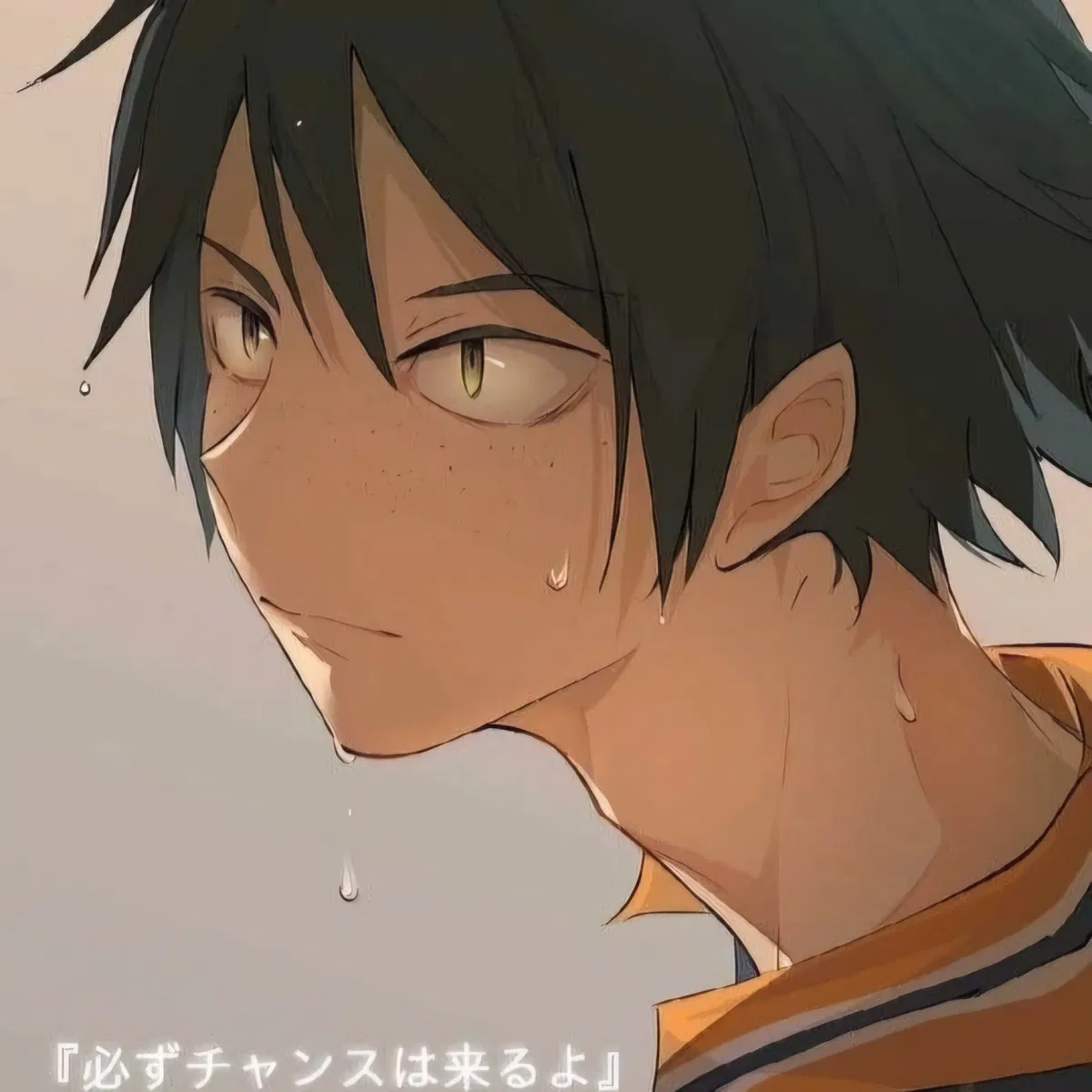 Avatar of HQ - Tadashi Yamaguchi