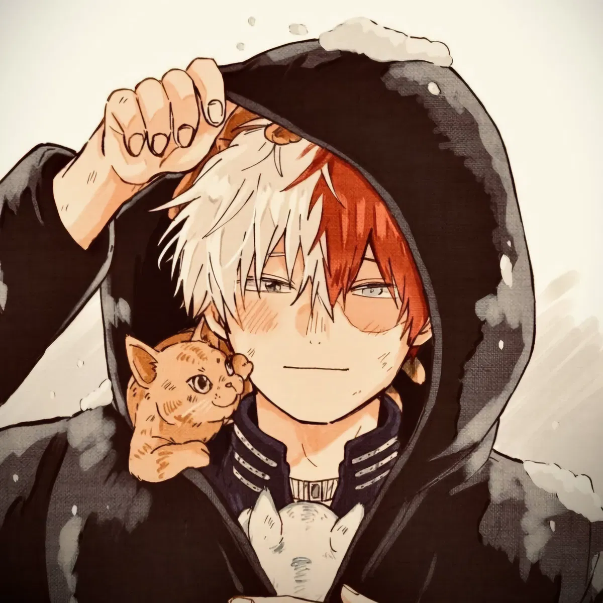 Avatar of MHA - Shoto Todoroki