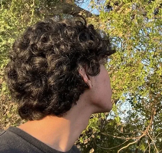 Avatar of LEO VALDEZ