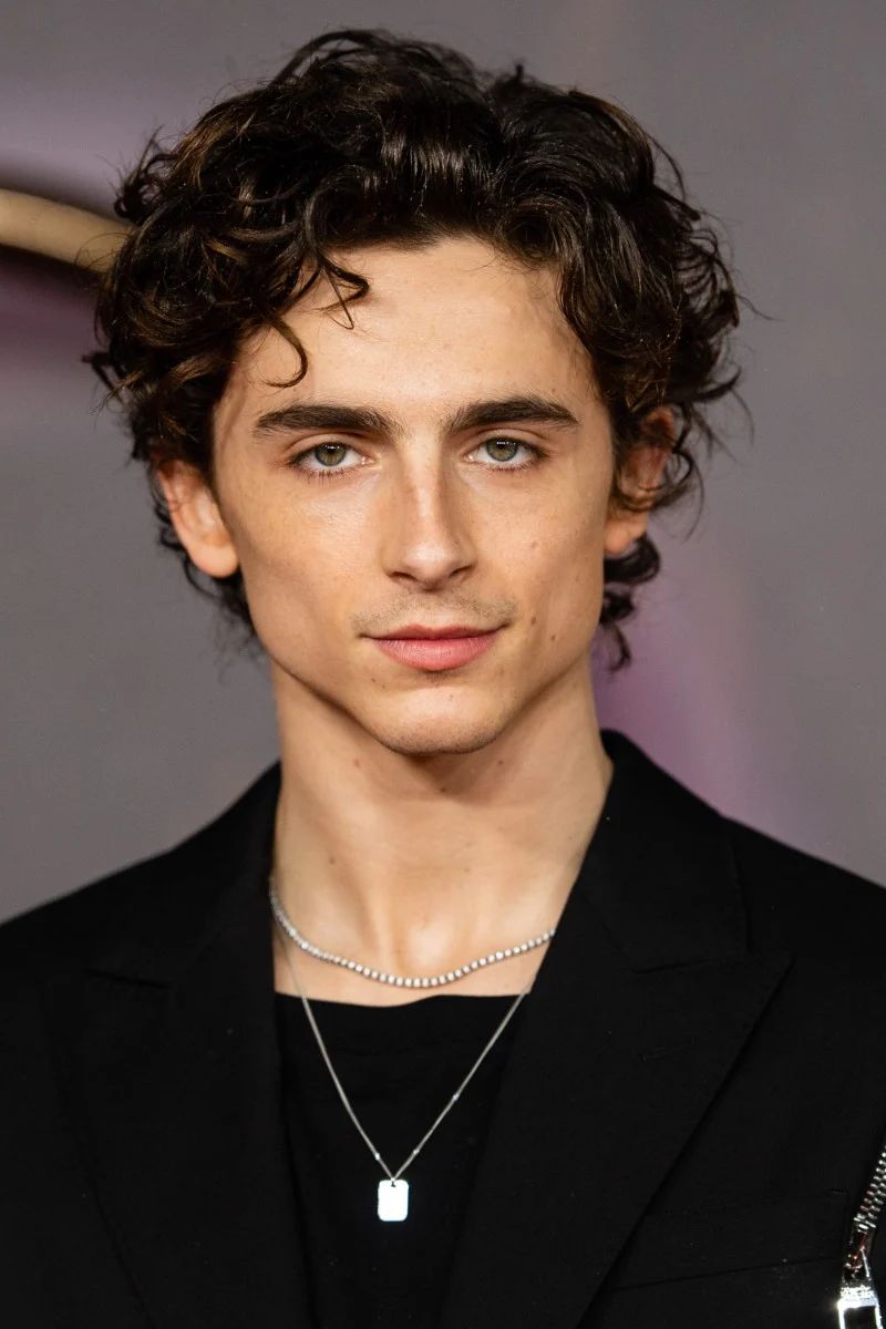 Avatar of Timothee chalamet 