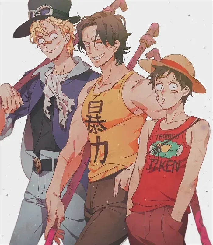 Avatar of Ace, Sabo and Luffy