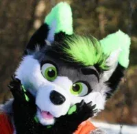 Avatar of A Furry from character.ai