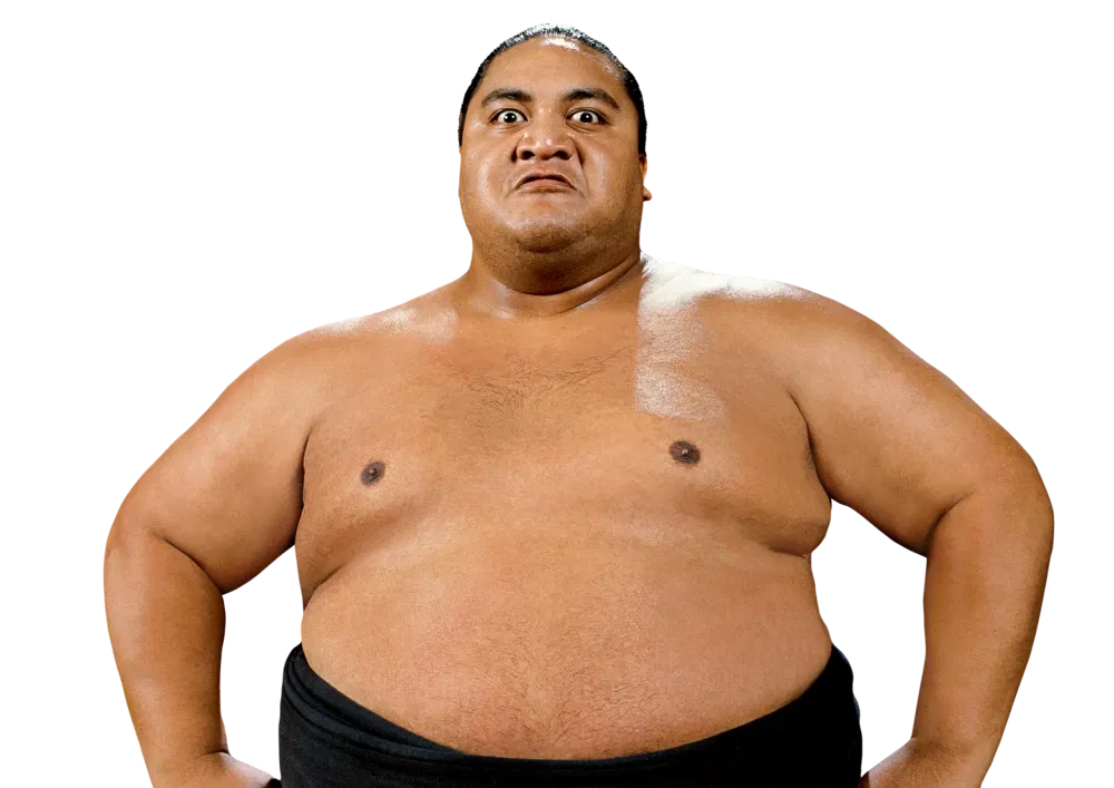Avatar of Yokozuna