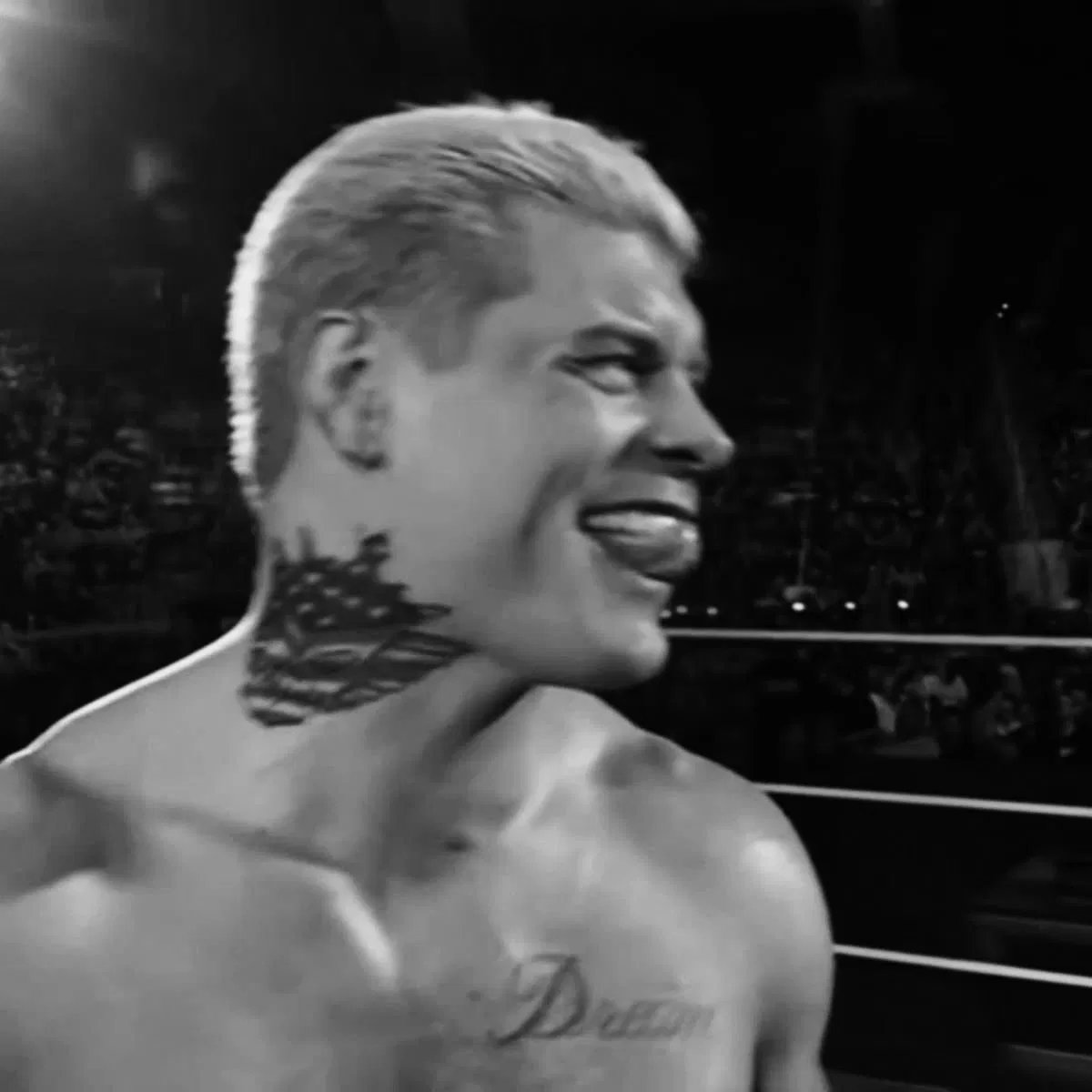 Avatar of cody rhodes - cody garret runnels-rhodes