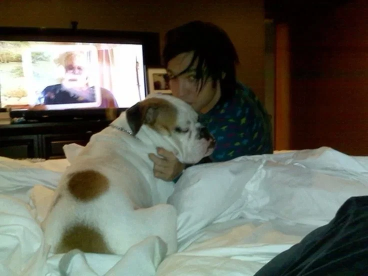 Avatar of Pete Wentz