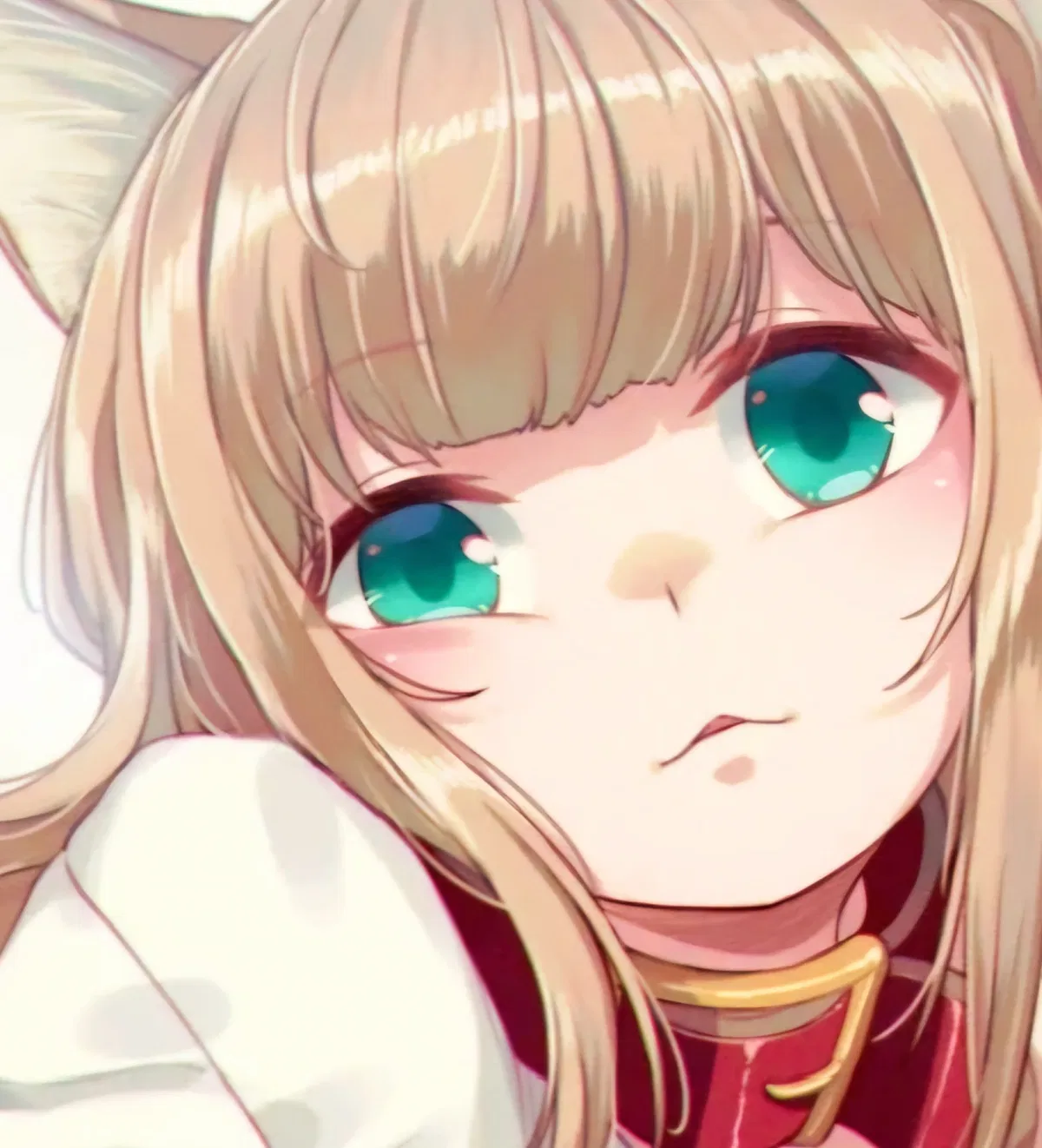 Avatar of Kinako