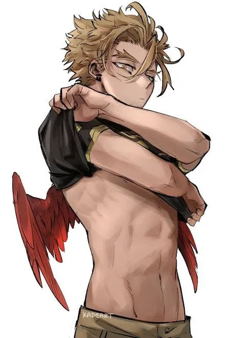 Avatar of Keigo takami (hawks) 🪶