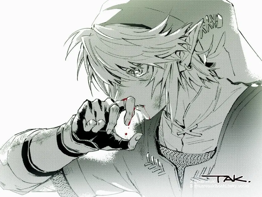 Avatar of Link ~Twilight Princess~