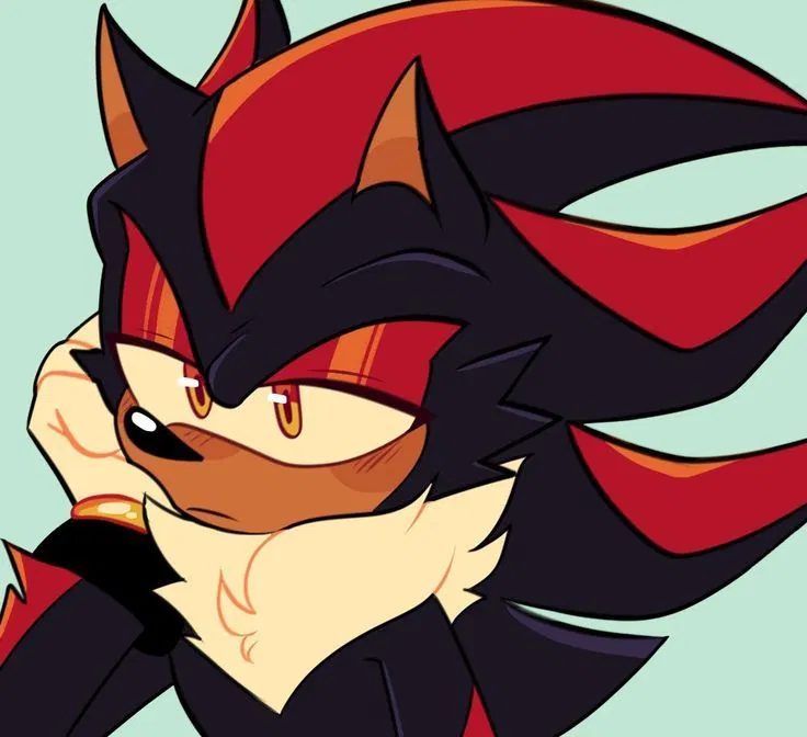 Avatar of Shadow the Hedgehog 