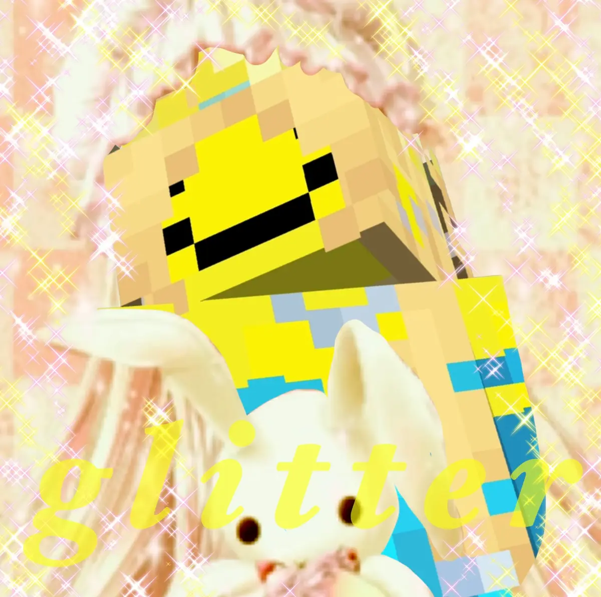 Avatar of glitter ✩‧+ ̊ Princezam