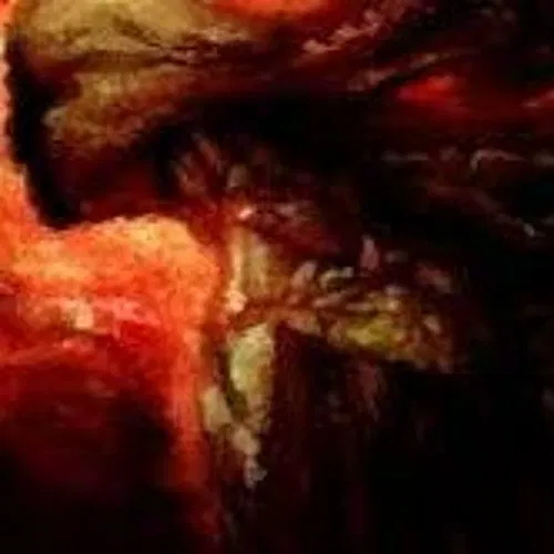 Avatar of TORMENT