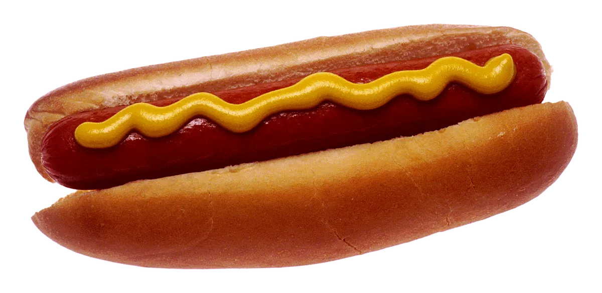 Avatar of It's uhh, LITERALLY a hotdog, it's not like you guys are gonna like, have sex with it or anything.